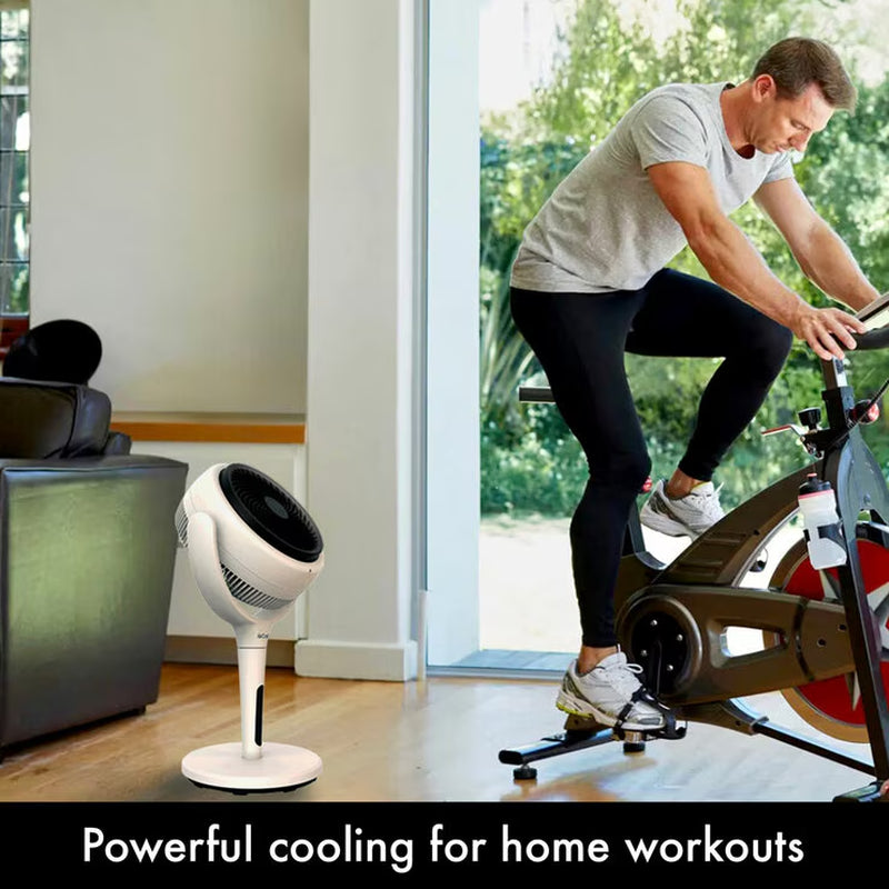LUME Ultra Quiet 2 in 1 Air Circulator Fan with Remote & LED Backlight in Stone White